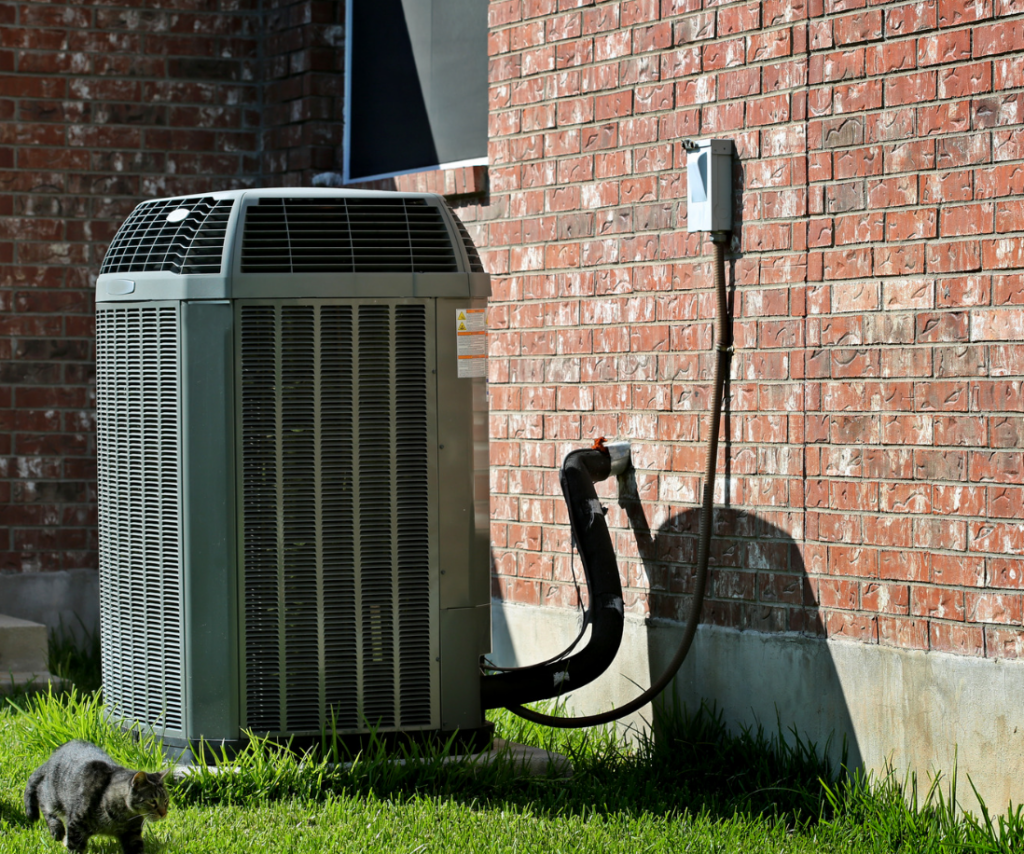 cat and AC unit outside brick house